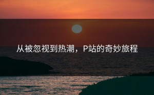 从被忽视到热潮，P站的奇妙旅程