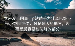 本来没当回事，p站助手为什么已经不是小范围在传，讨论最大的地方，反而是最容易被忽略的部分