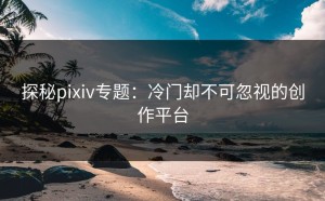 探秘pixiv专题：冷门却不可忽视的创作平台