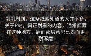 刚刚刷到，这条线索知道的人并不多，关于P站，真正耐看的内容，通常都藏在这种地方，后面那层意思比表面更耐琢磨