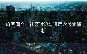 麻豆国产：社区讨论与深层次线索解析