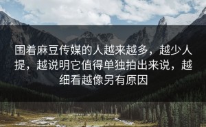 围着麻豆传媒的人越来越多，越少人提，越说明它值得单独拍出来说，越细看越像另有原因
