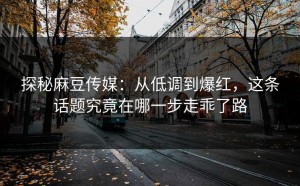 探秘麻豆传媒：从低调到爆红，这条话题究竟在哪一步走乖了路
