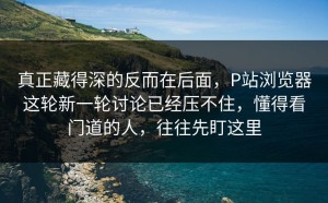 真正藏得深的反而在后面，P站浏览器这轮新一轮讨论已经压不住，懂得看门道的人，往往先盯这里