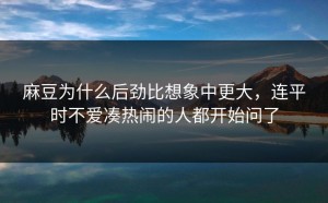 麻豆为什么后劲比想象中更大，连平时不爱凑热闹的人都开始问了