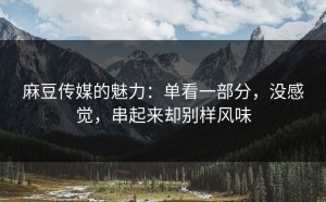 麻豆传媒的魅力：单看一部分，没感觉，串起来却别样风味