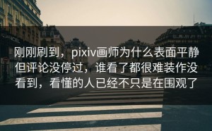 刚刚刷到，pixiv画师为什么表面平静但评论没停过，谁看了都很难装作没看到，看懂的人已经不只是在围观了