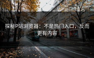 探秘P站浏览器：不是热门入口，反而更有内容
