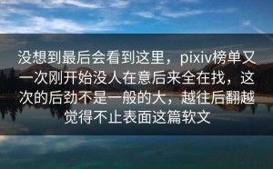 没想到最后会看到这里，pixiv榜单又一次刚开始没人在意后来全在找，这次的后劲不是一般的大，越往后翻越觉得不止表面这篇软文