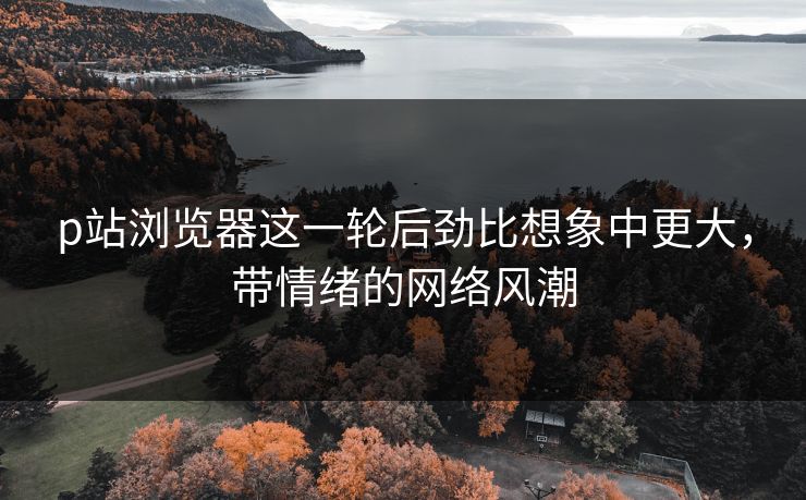 p站浏览器这一轮后劲比想象中更大，带情绪的网络风潮