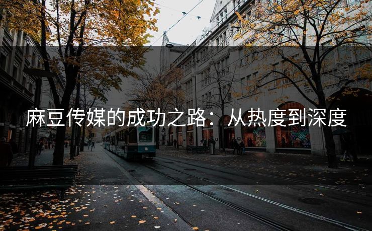 麻豆传媒的成功之路：从热度到深度
