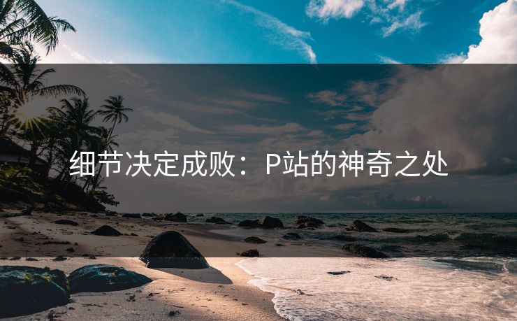 细节决定成败：P站的神奇之处