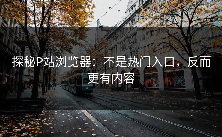 探秘P站浏览器：不是热门入口，反而更有内容
