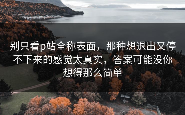 别只看p站全称表面，那种想退出又停不下来的感觉太真实，答案可能没你想得那么简单