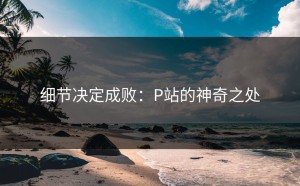 细节决定成败：P站的神奇之处