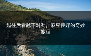 越往后看越不对劲，麻豆传媒的奇妙旅程