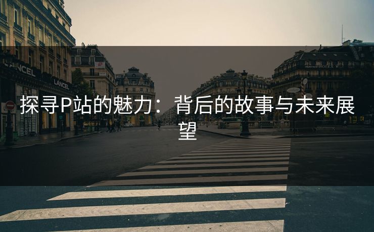 探寻P站的魅力:背后的故事与未来展望 探寻P站的魅力:背后的故事与未来展望